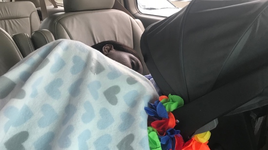 A person sleeping in a car