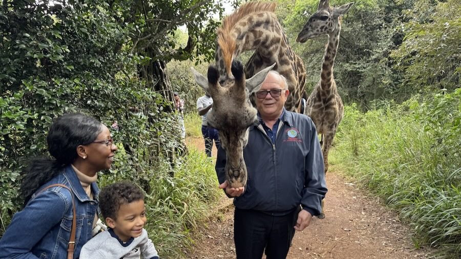 A group of people and giraffes on a path