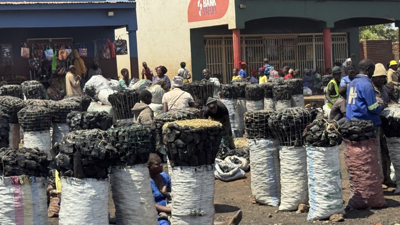 Several people outside a market with medium confidence
