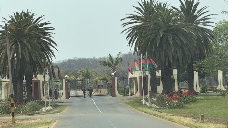 A road with palm trees and a gate