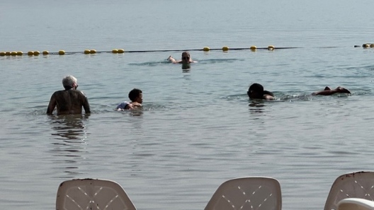 People swimming in the water