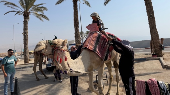 A person on a camel