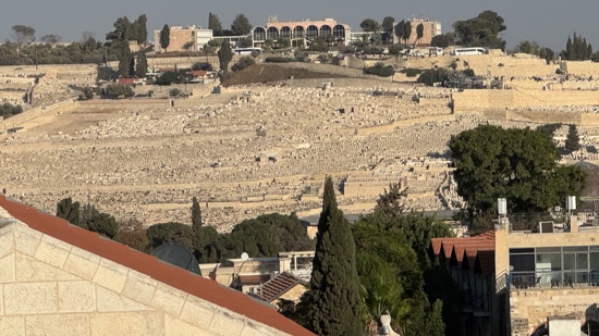 A view of a city from a high point