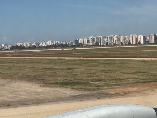 A field with a city in the background